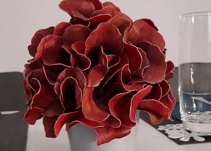 Adora * スプリト